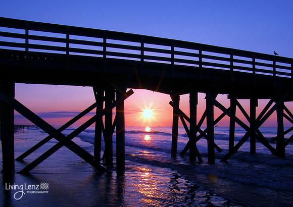IOP Pier